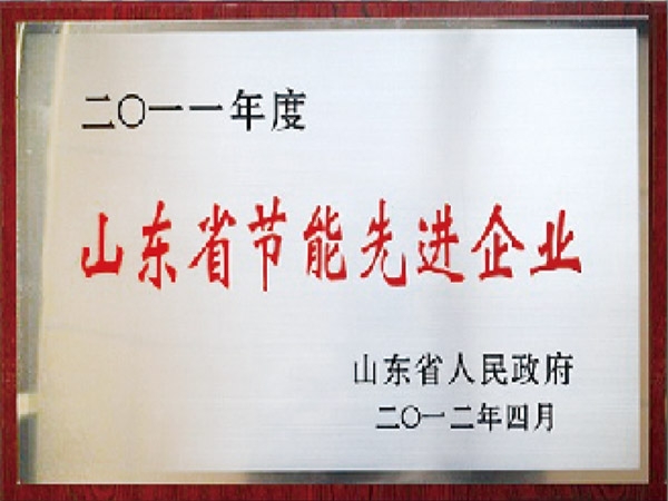 山東省節能先進企業